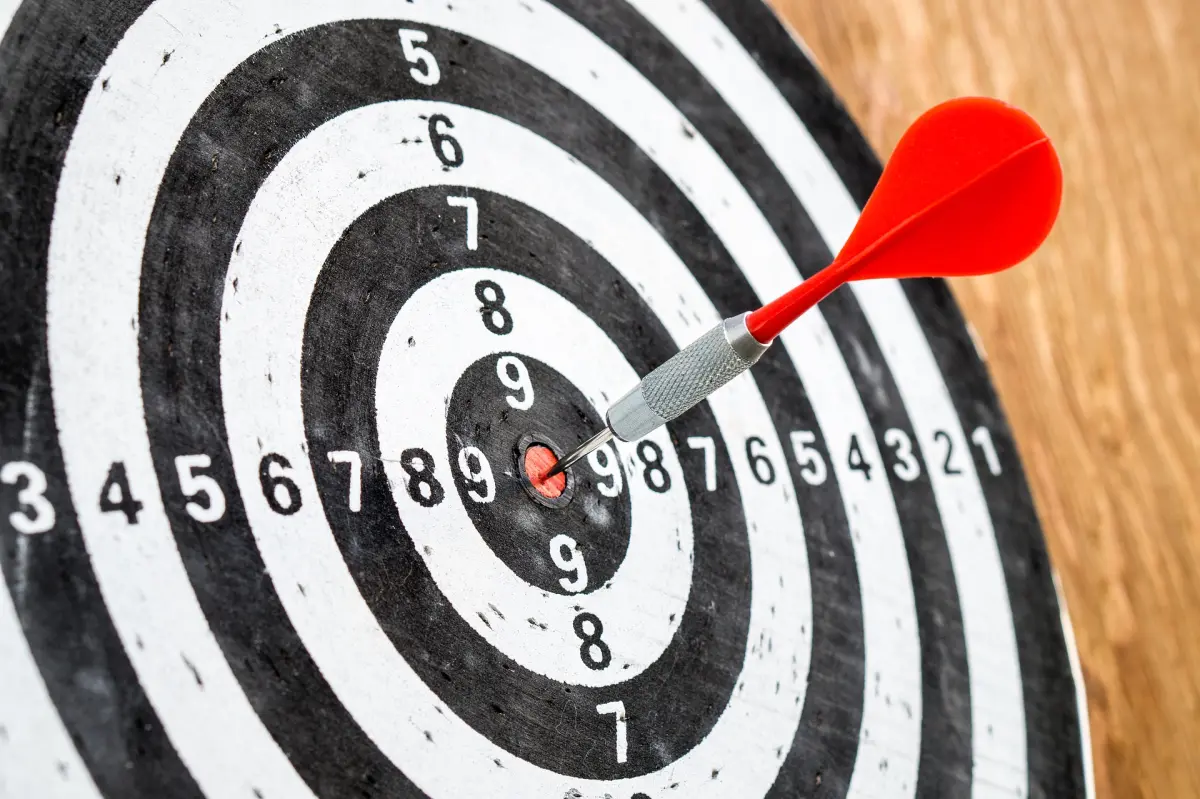 Ziel von consulting-ahead!